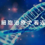 幹細胞治療で若返り