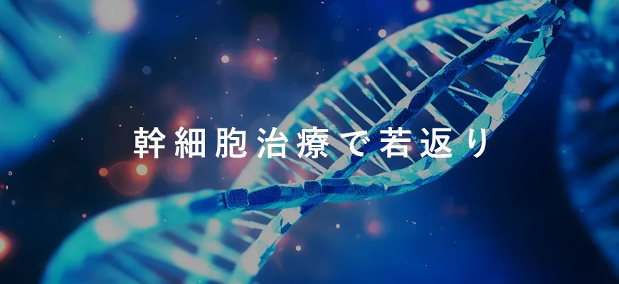 幹細胞治療で若返り