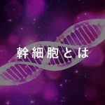 幹細胞とは