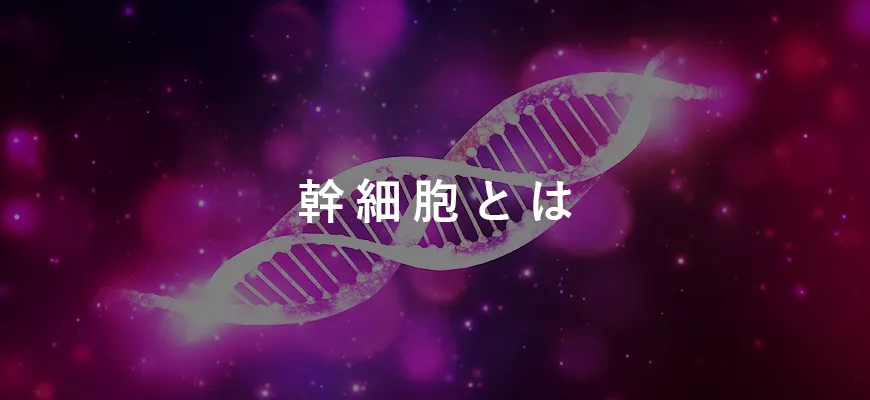 幹細胞とは